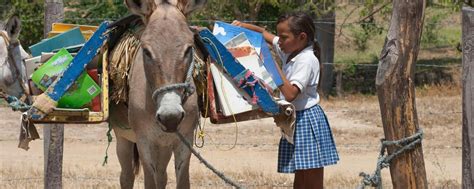 The Dancing Donkey? A Tale of Colombian Wit and Resourcefulness!